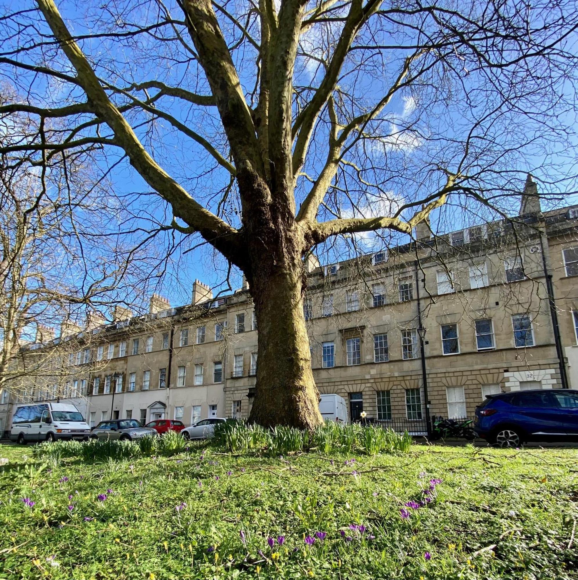 Grosvenor Apartments In Bath - Great For Families, Groups, Couples, 80 Sq M, Parking 外观 照片